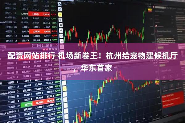 配资网站排行 机场新卷王！杭州给宠物建候机厅，华东首家