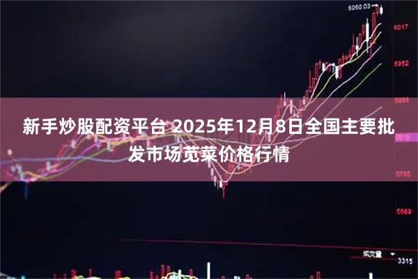 新手炒股配资平台 2025年12月8日全国主要批发市场苋菜价格行情
