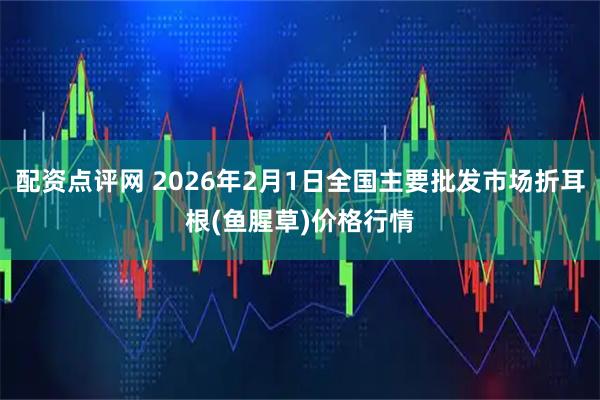 配资点评网 2026年2月1日全国主要批发市场折耳根(鱼腥草)价格行情